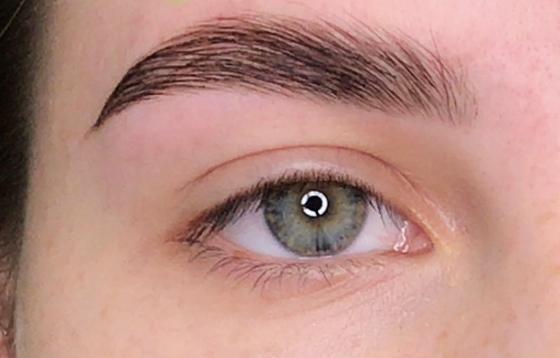 Brow tint (without shaping) in San Diego