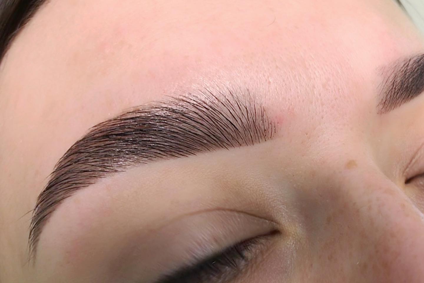 Masters, guess what shade the eyebrows are colored? @browxenna @iri.levchuk in Sand Diego, CA